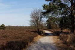 ZO 14/04/19 Wandelen over De Oude Buisse Heide (12 km) 